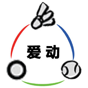 九江爱动网羽毛球群